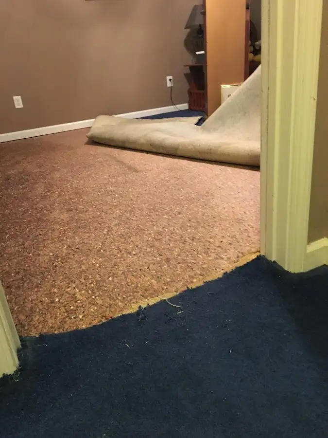 Carpet pad removal revealing water damage during Drying & Dehumidification in Seminole